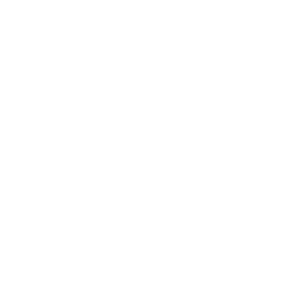 paw print white
