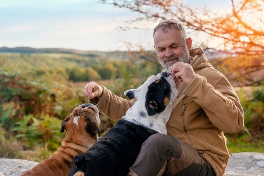 Retiree giving treats to his dogs while out on a walk