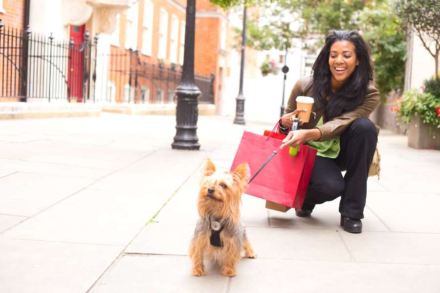 woman with dog and shopping bags