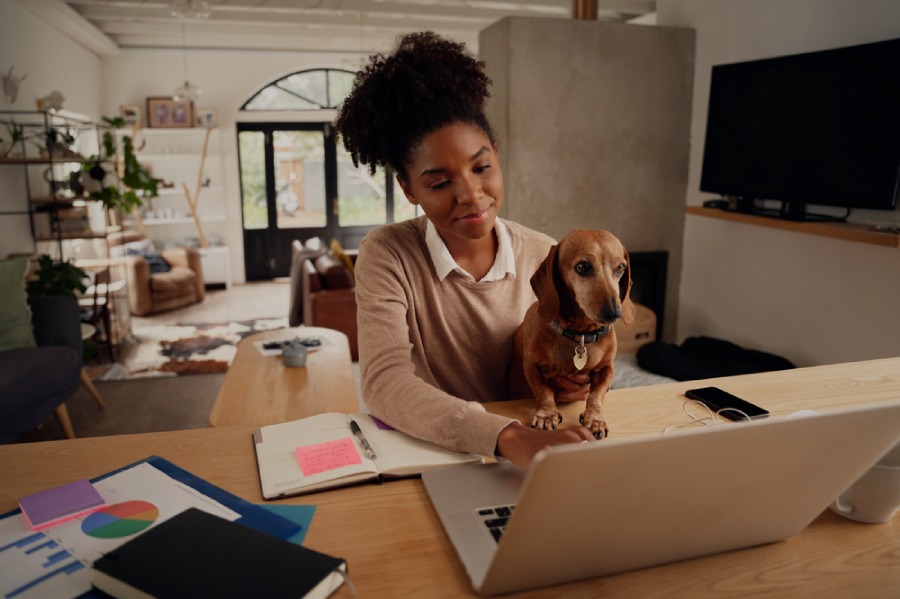 A woman working on a laptop with a dog on her lap